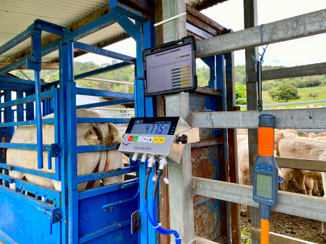 Innovative Solutions for Sun Protection and Energy Savings