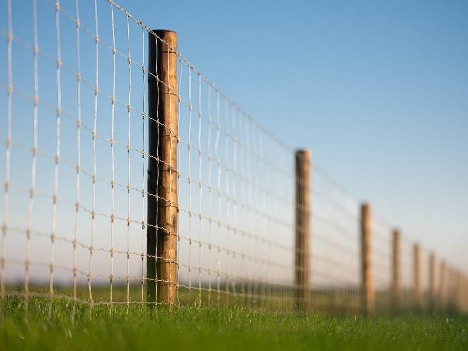 How Agricultural Fencing Supplies Can Improve the Safety and Efficiency of Your Farm