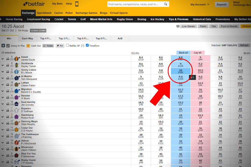The Truth Behind the Odds: Can You Really Profit from Betting Exchange Sites?
